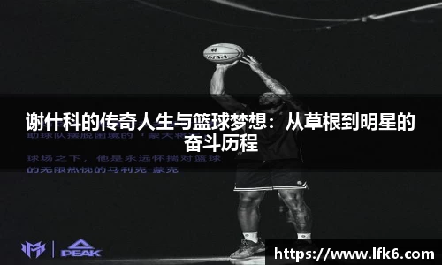 谢什科的传奇人生与篮球梦想：从草根到明星的奋斗历程