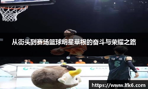 星空xingkong官方网站